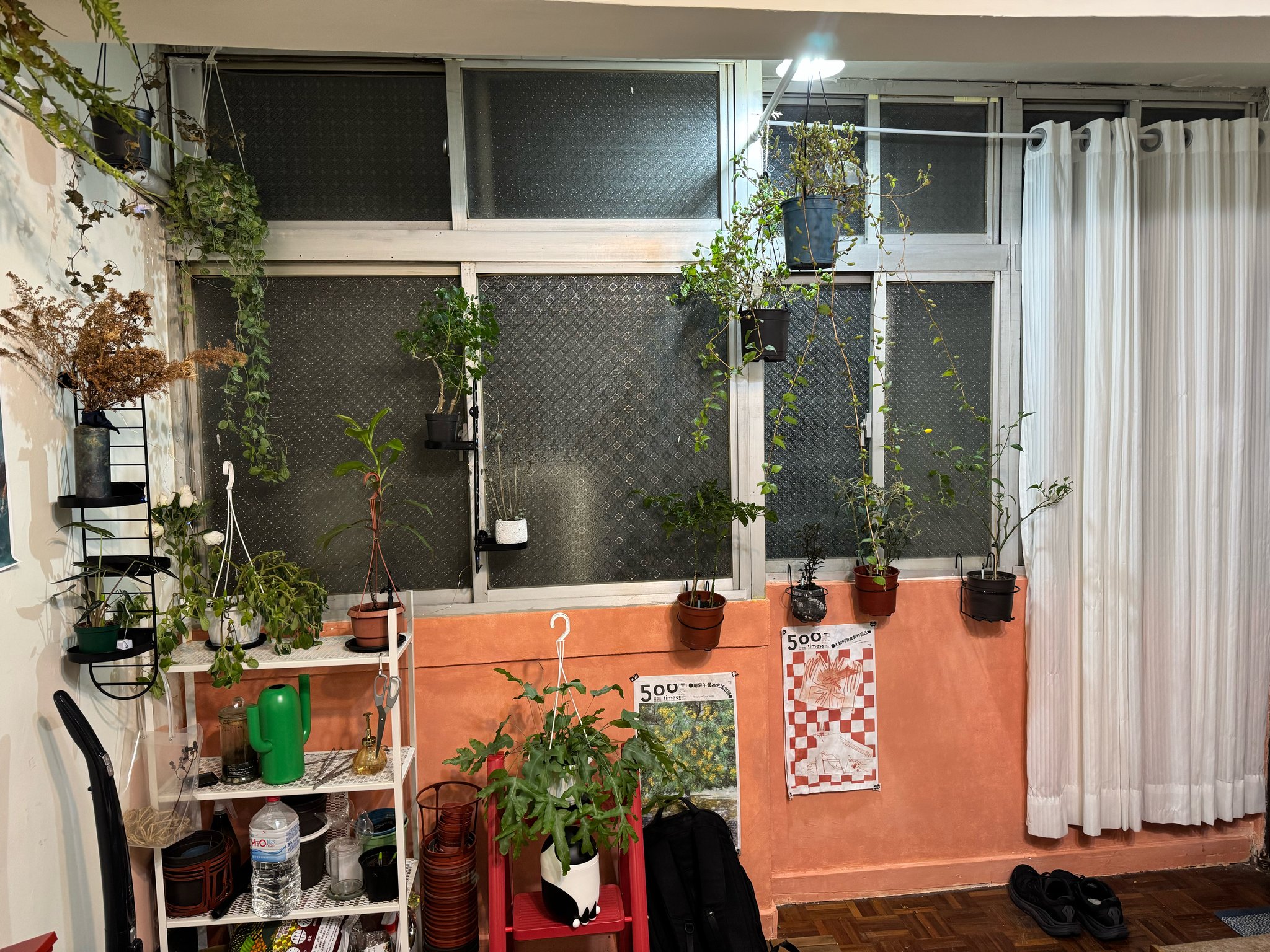 窗邊植物擺放位置的全景照片，共 15 株